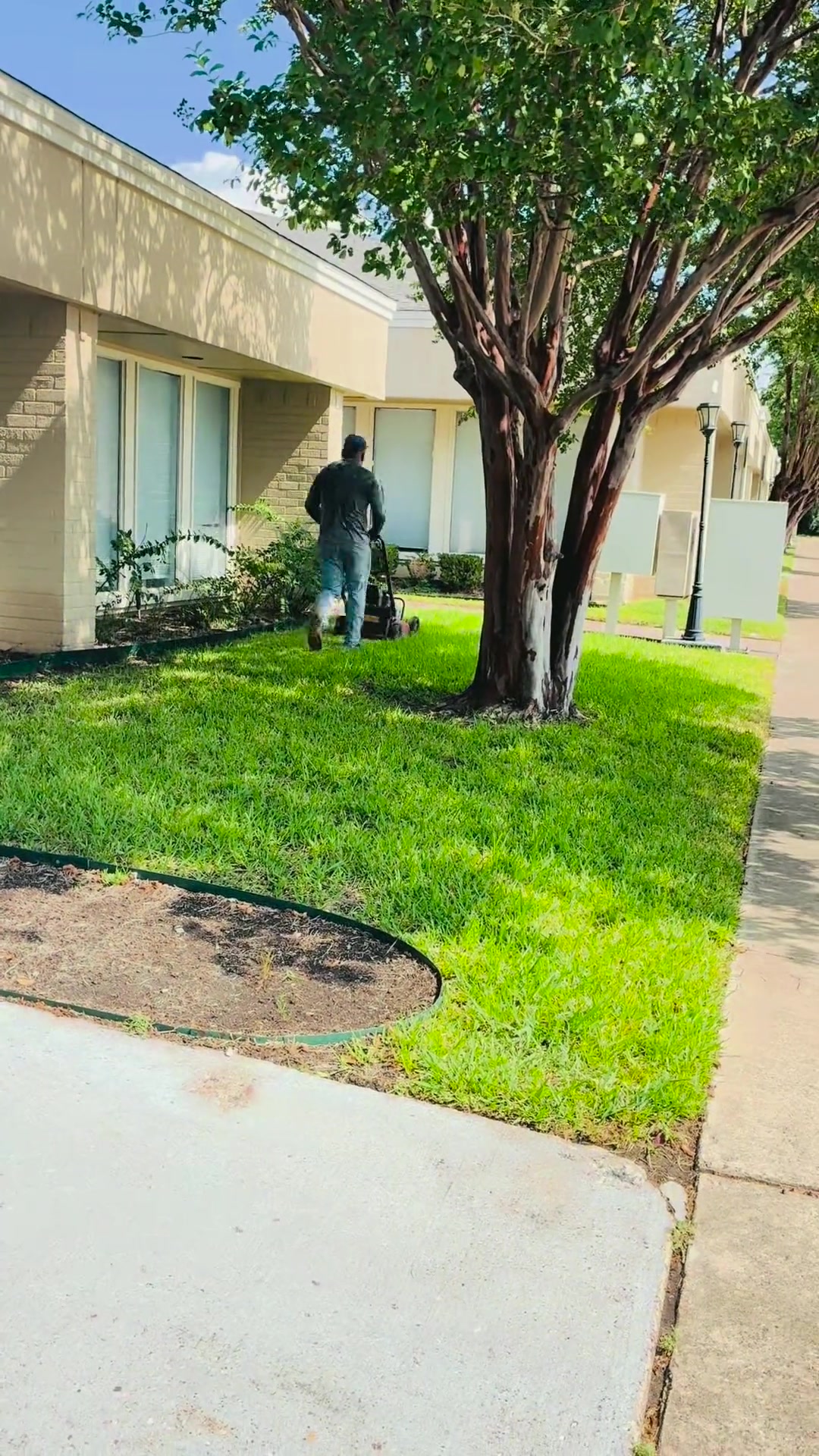 Diaz Tree and Lawn Service crew mowing the lawn at the Garland office